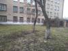 IMG-20190420-WA0031