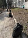 субботник 1-min