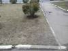IMG-20190420-WA0028
