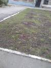 IMG-20190420-WA0029